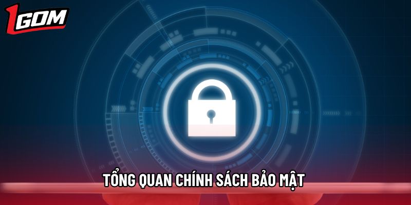 Tổng quan chính sách bảo mật